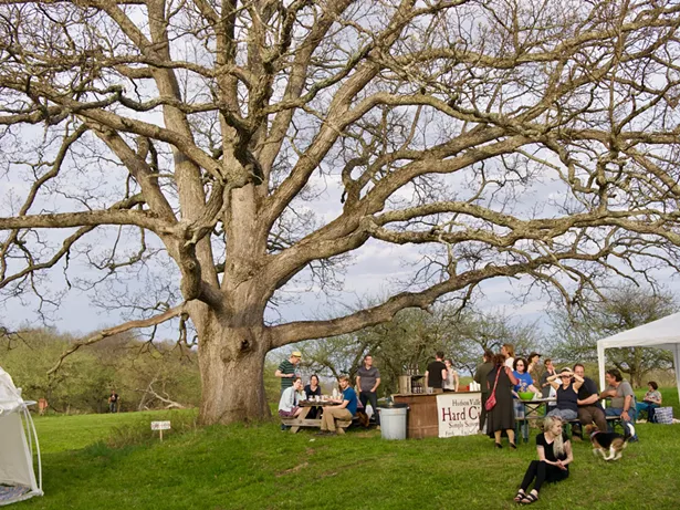 Stone Ridge Orchard