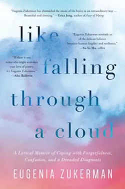 06_like-falling-through-a-cloud-eugenia-zukerman.jpg