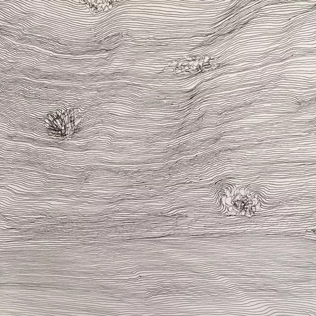 Line Study, Deborah Goldman, pen and ink, 2019.
