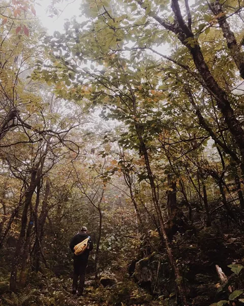 Panther Mountain - SIERRA FLACH