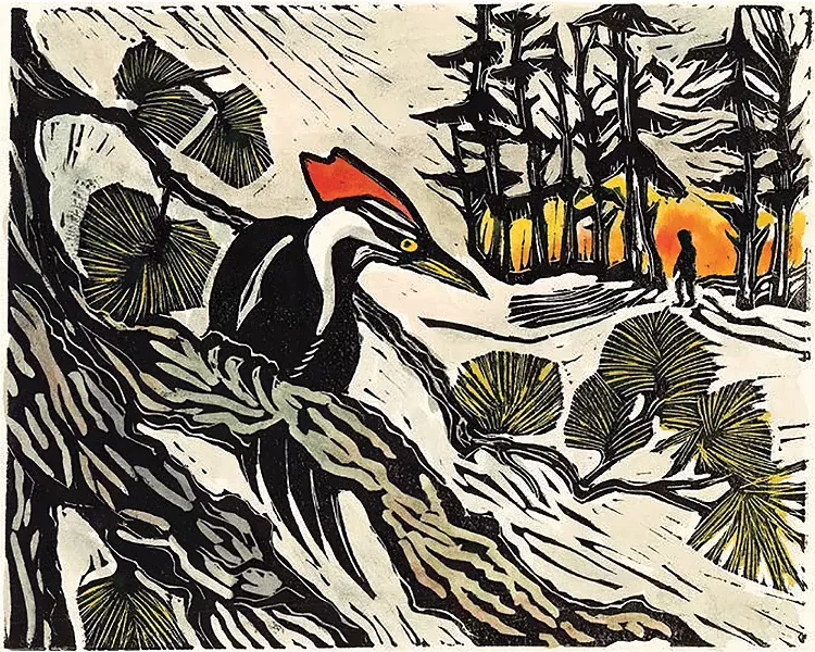 ILLUSTRATION BY CAROL ZALOOM