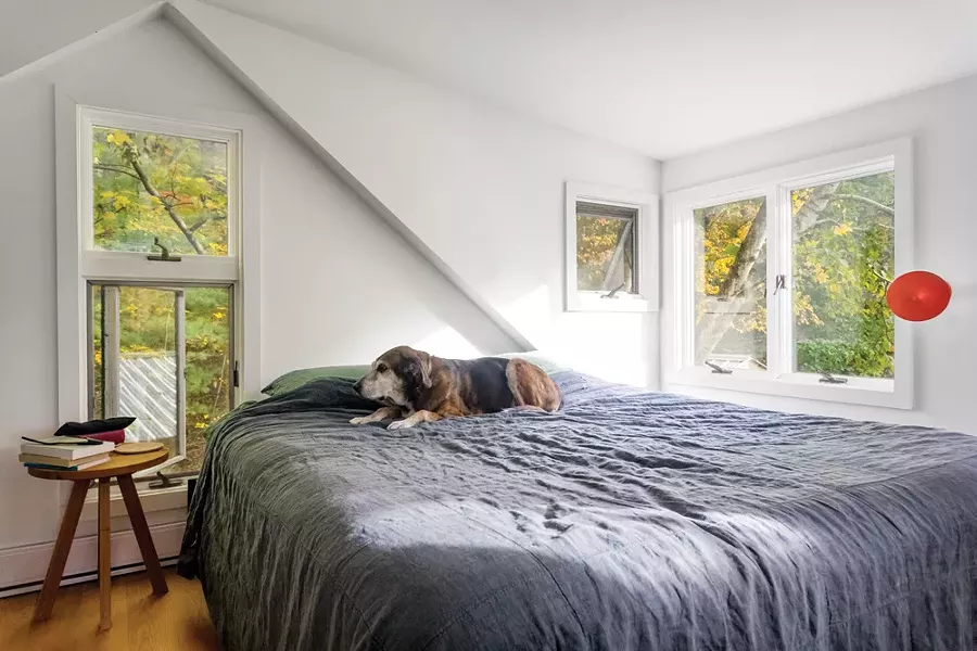 Upton rests in the master bedroom. When Horowitz was in graduate school, she spent six months trying to come up with a research subject—often taking her dog to the dog park to play when she was feeling stuck. Then she realized her subject matter was literally right in front of her. “I realized I should study dogs,” she remembers. “It was hard to see, because dogs are thought to be so familiar—they’re in our houses, they’re in our beds, we feel we already know them.” - WINONA BARTON-BALLENTINE