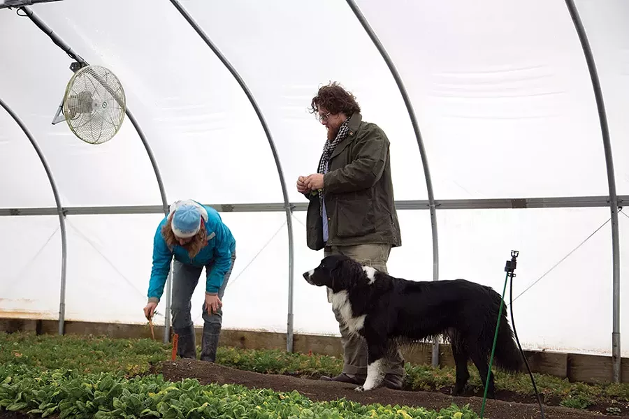 Pelaccio with Sue Decker of Blue Star Farm in Stuyvesant, whose greenhouses provide the restaurant with early spring vegetables. - PETER BARRETT