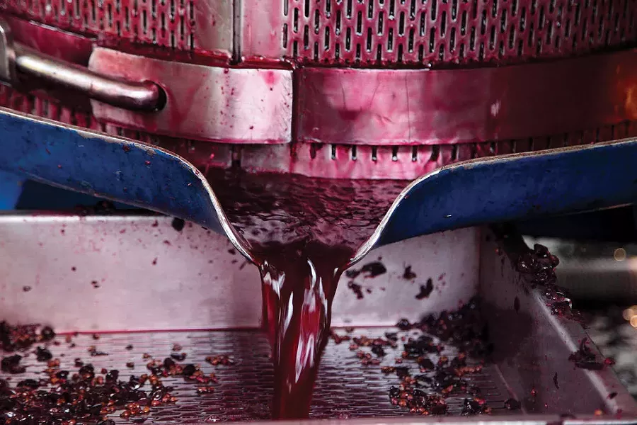 art-of-biz_milea-press-juice.jpg