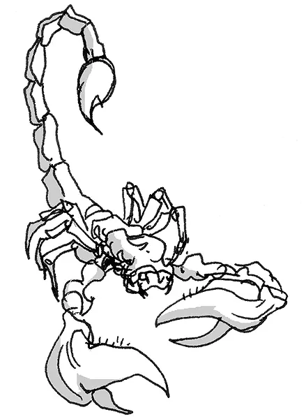 scorpio1.jpg