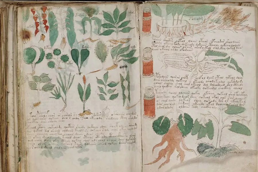 short-list_voynich3.jpg