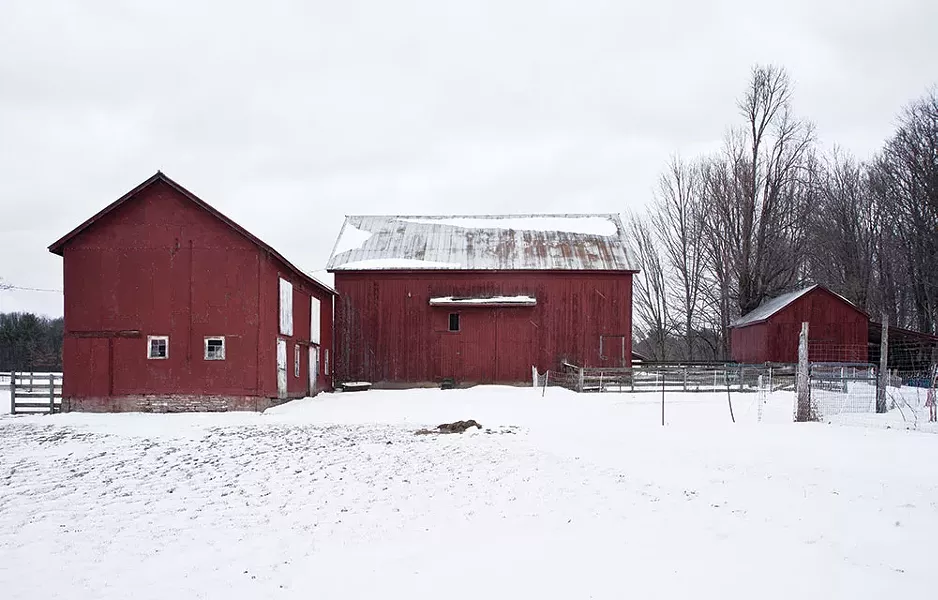 The property’s three red barns are the center of the farm’s operations. The couple keep turkeys and chickens and grow a variety of herbs and vegetables as well as fruit in an adjacent orchard. “You are more attached to your food if it’s coming from your own efforts,” Thompson explains. “You really appreciate it. You can’t gobble anything down because you know how much work went into it.” - DEBORAH DEGRAFFENREID