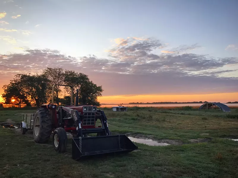 sunrise_serenity_alison_delaney_daily_life_on_the_farm.jpg