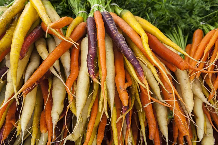 carrots.jpg