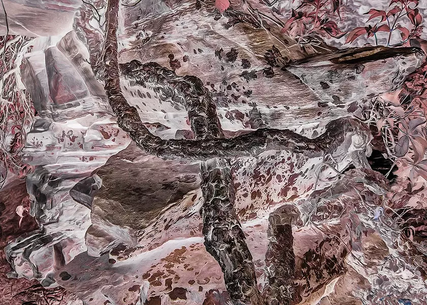 David Curtis's photograph Inversion One
