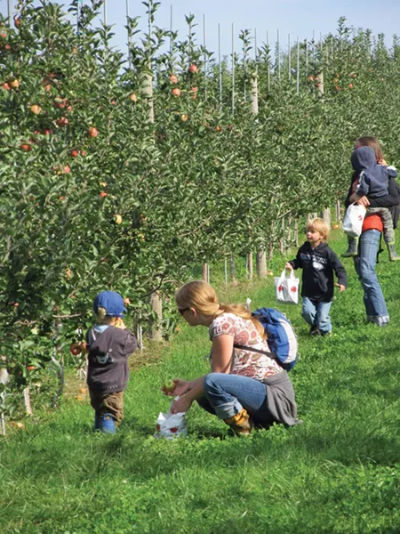 hurds-family-farm_-modena.jpg