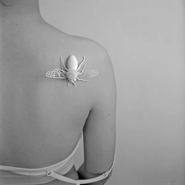 Elsa Mora, "Natalie 3," archival digital print on canvas, collage and paper (insect), 2016