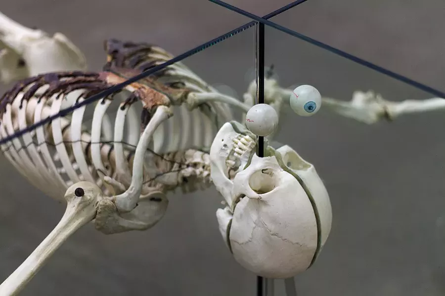 "Death is Irrelevant" (detail shot), Damien Hirst