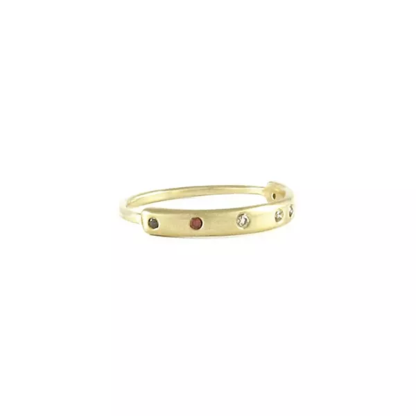 melissa_easton_55r-d_ring_skinnyrect_w_6diamonds_pv_01_1024x1024.jpg
