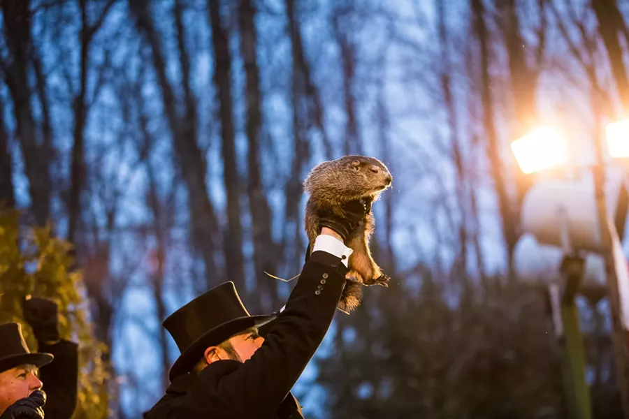 punxsutawney_phil_2018.jpg