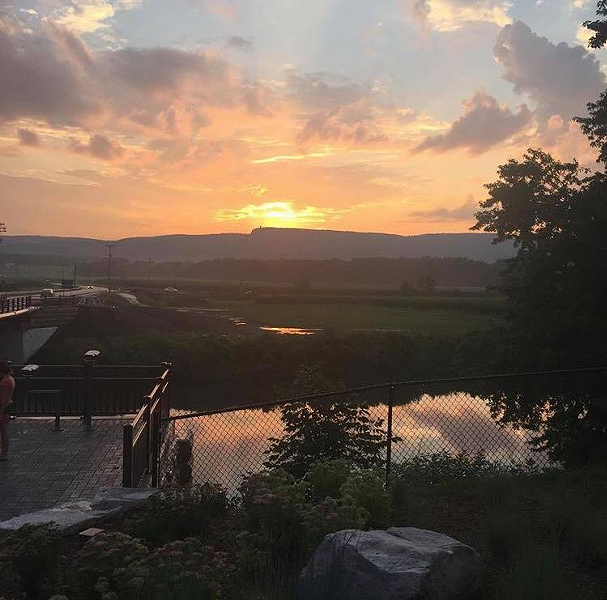 The view from the Gilded Otter