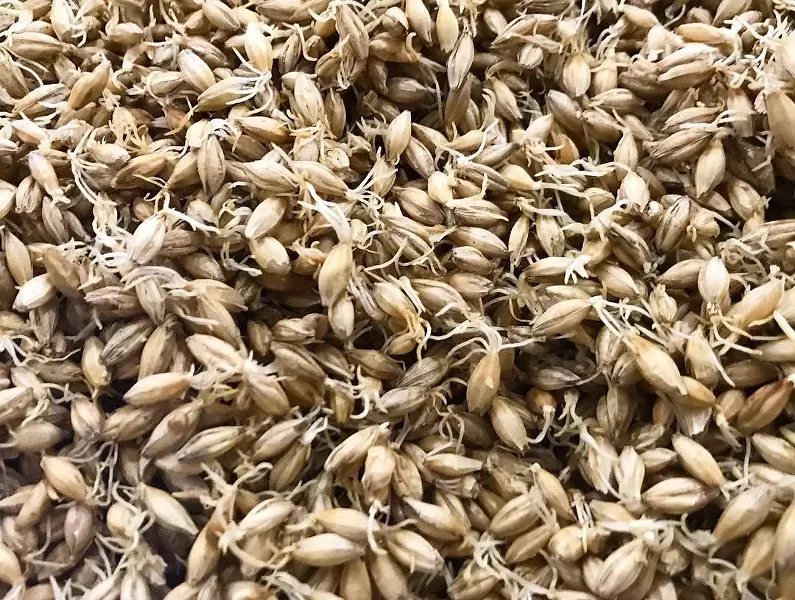 hudson_valley_malt_local_beer3.jpg