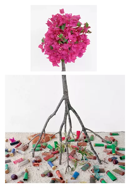 David Halliday, Bougainvillea & Shotgun Shells, 2017, archival pigment print