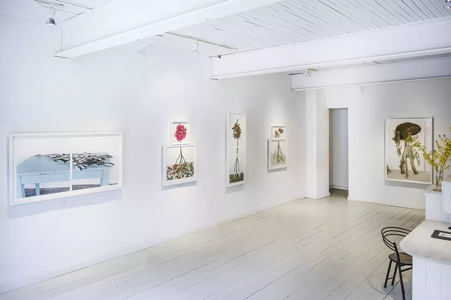 david_halliday_exhibit_carrie_haddad_gallery.jpg