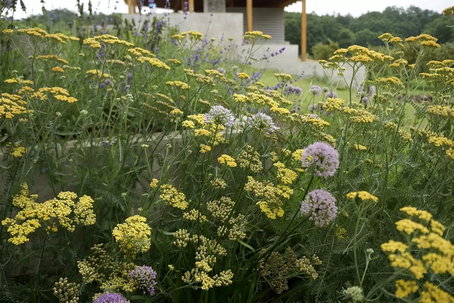 Hudson Garden Studio