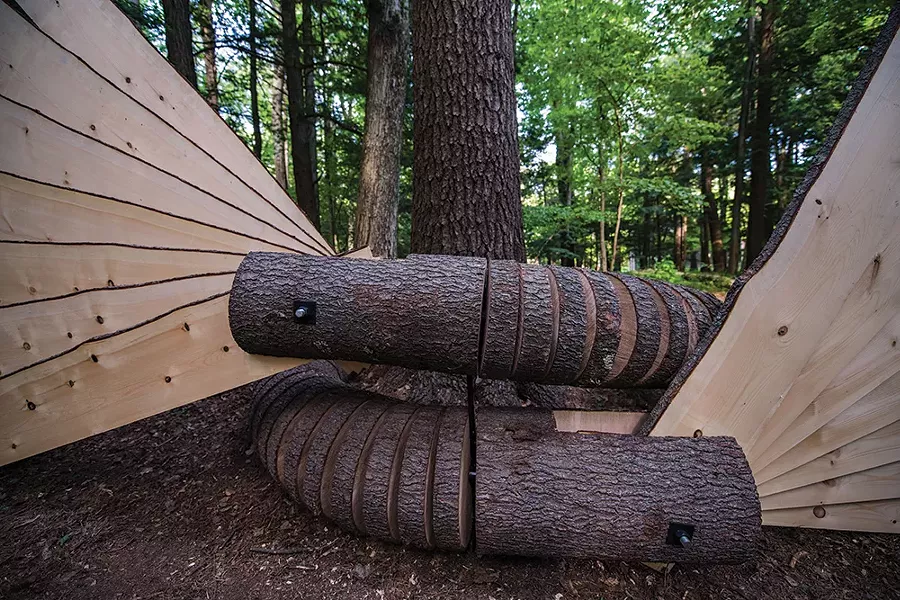 Mother Tree. Eastern white pine, steel. A majestic full-growth eastern white pine tree nurtures a broad sweeping community of younger trees. - PHOTO: KARI GIORDANO