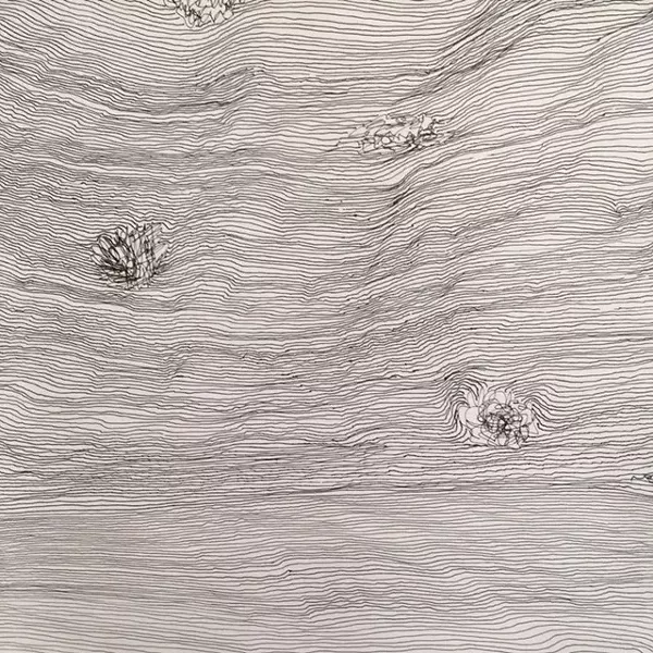 Line Study, Deborah Goldman, pen and ink, 2019.