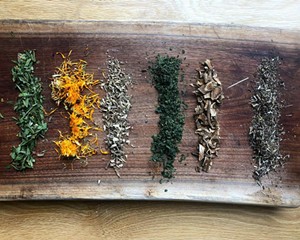 7 Hudson Valley Apothecaries Offering Herbal Remedies & Know-How