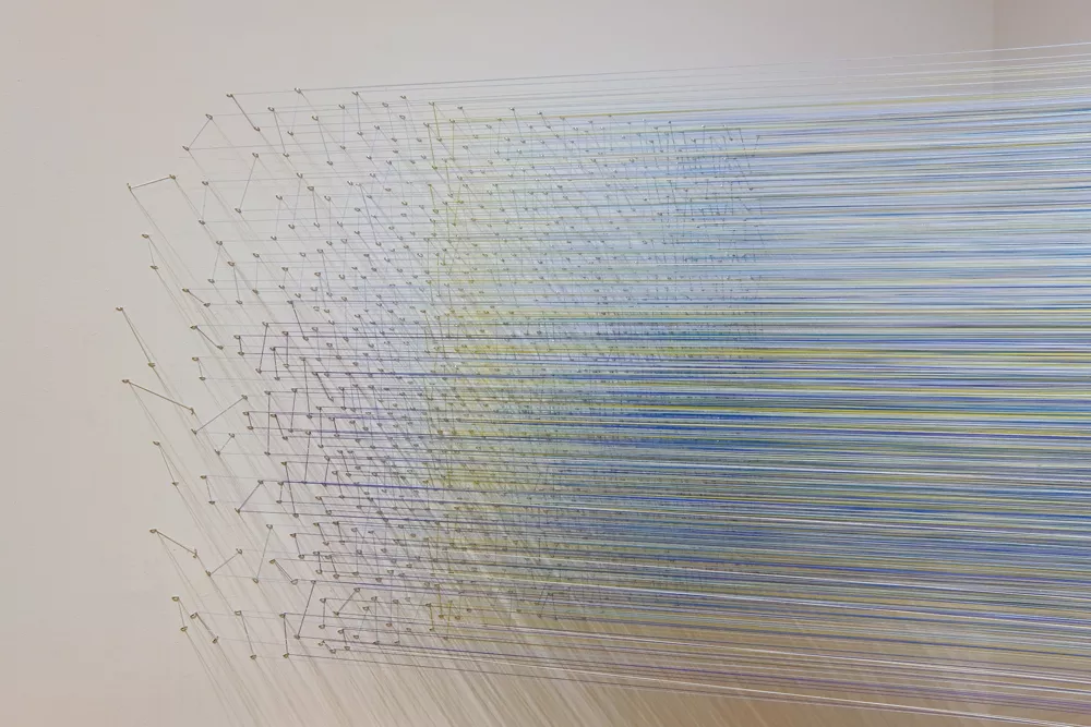 Anne Lindberg 30 Birds, cotton thread and staples - PHOTO BY DEREK PORTER
