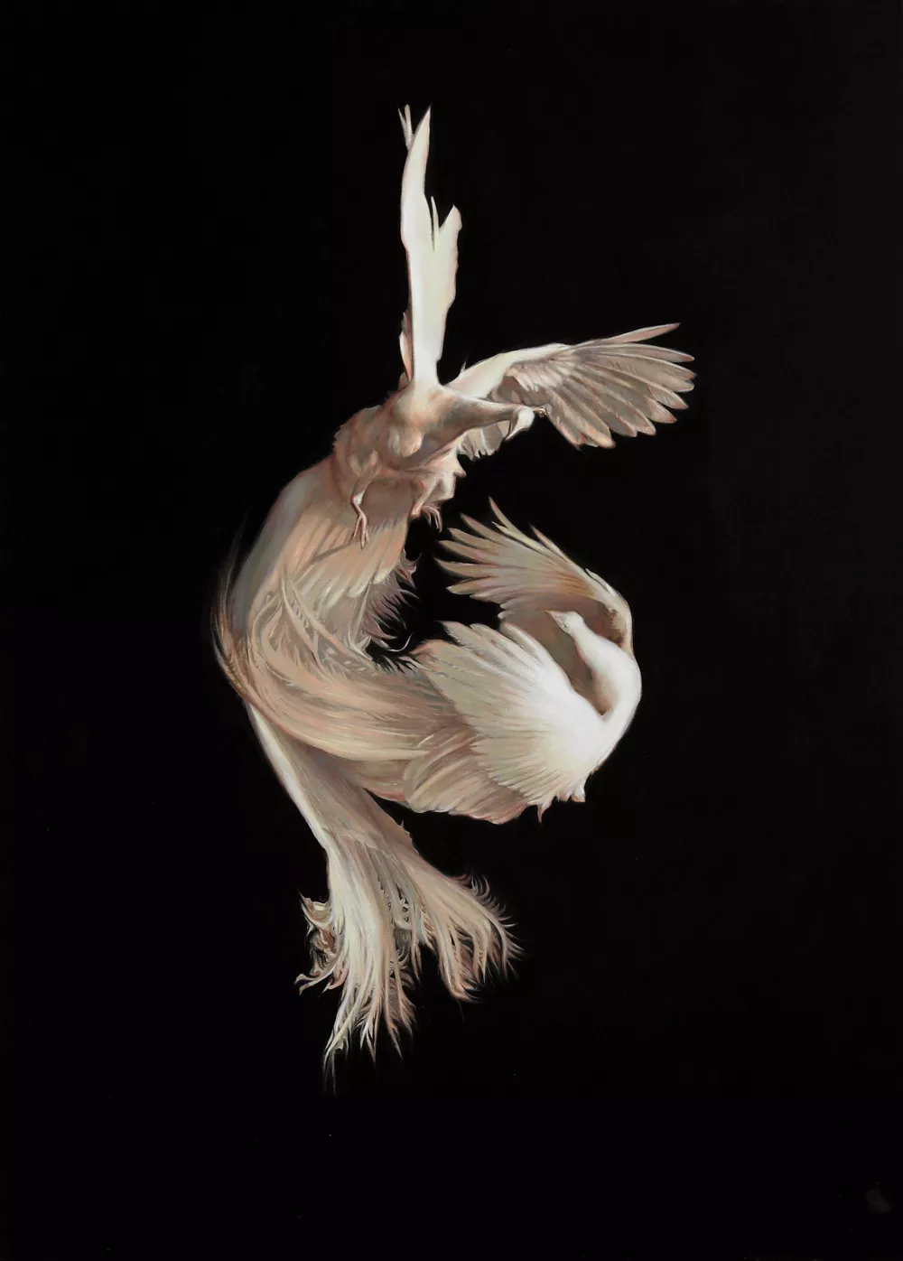 White Male Peacocks, Lily Morris, oil on linen, 67" x 48", 2020