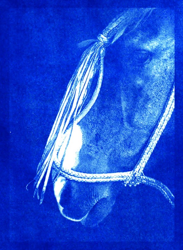 Profile, a hand-printed cyanotype by Lyne Raff, available from Equis Art Gallery in Red Hook