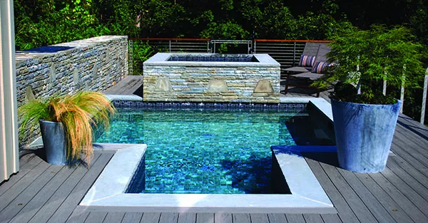 Dipping pool, spa, stonework, deck layout, and planters all designed by Bloom. - LARRY DECKER