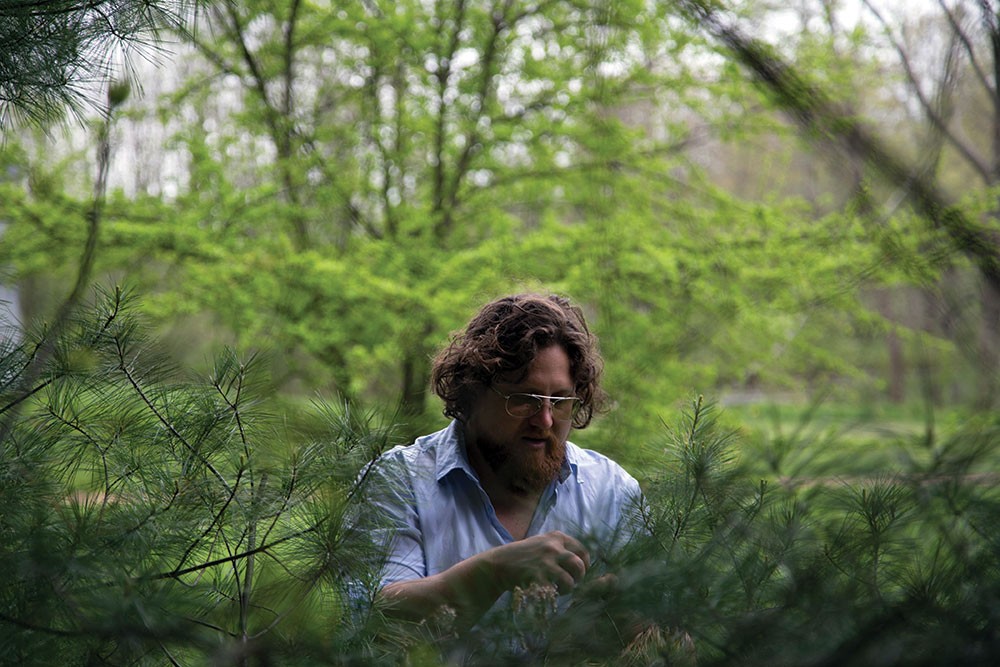 Zak Pelaccio gathering pine needles near his home in Old Chatham. - PETER BARRETT