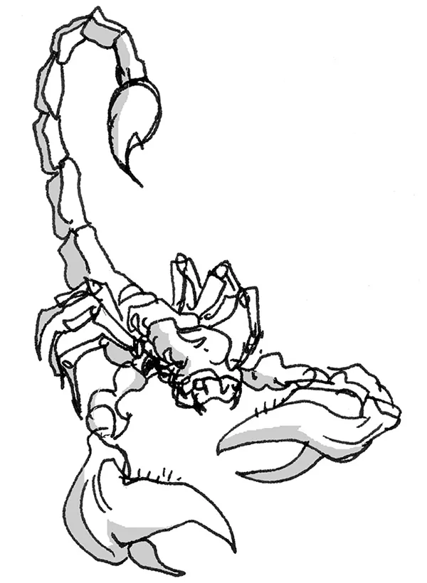 scorpio1.jpg