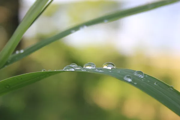 PHOTO BY AMANDA PAINTER
