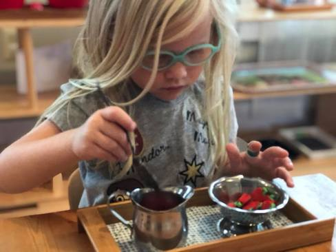 montgomery_montessori_1.png