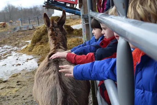 poughkeepsie_day_school_farm_learning5.jpg