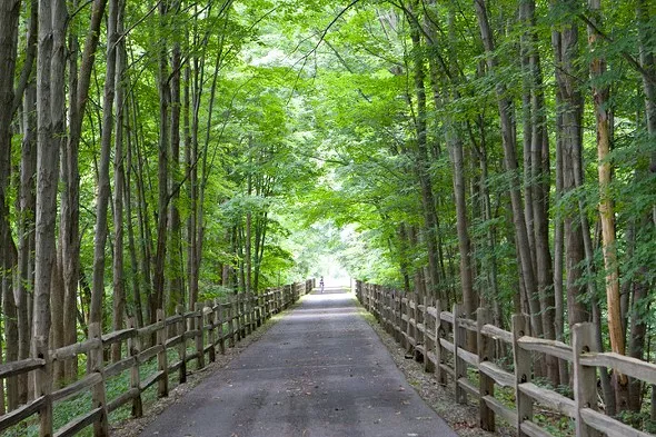 Harlem Valley Rail Trail