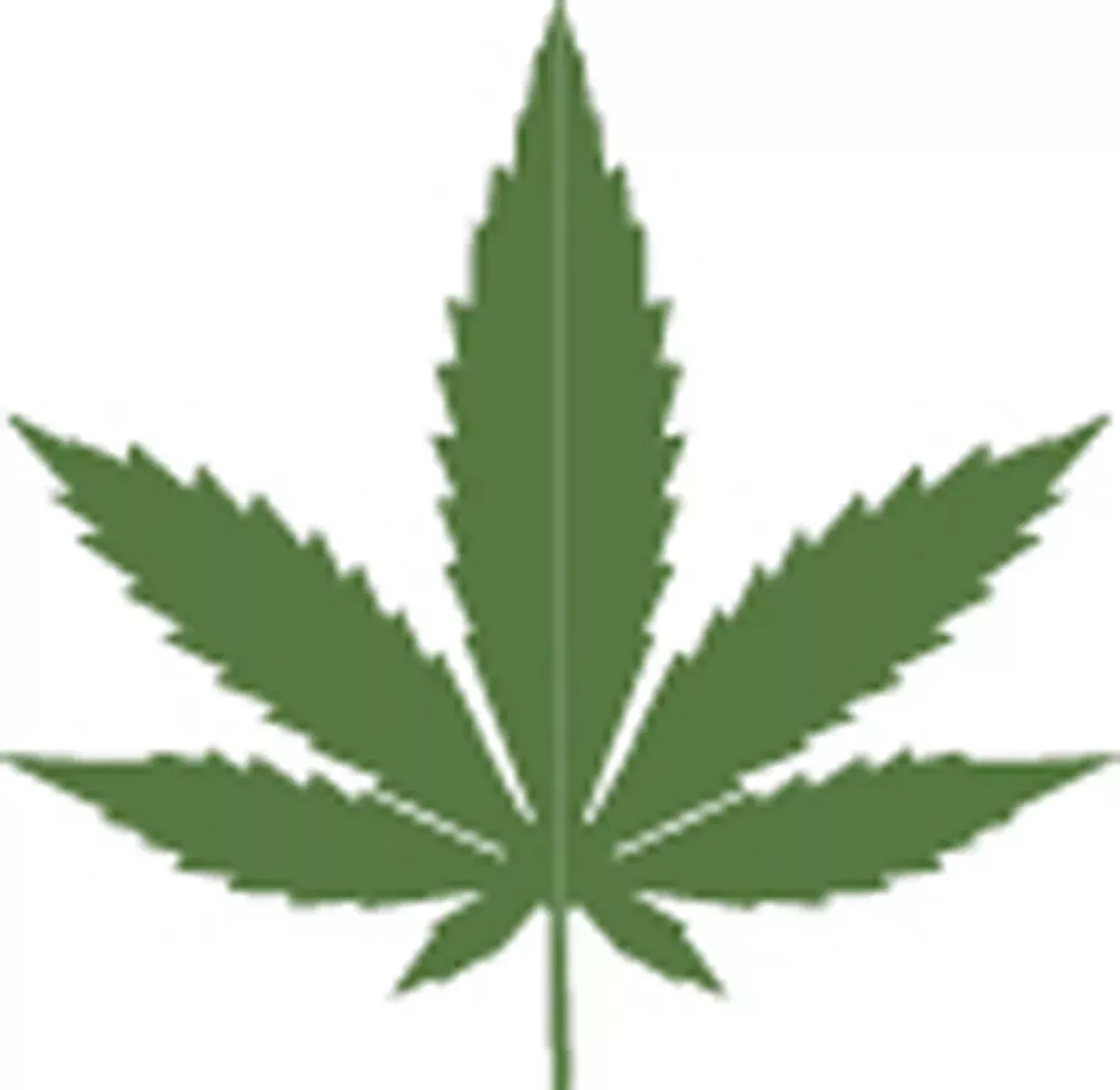 10 Weed Dispensaries to Visit in the Berkshires - Vimarsana News