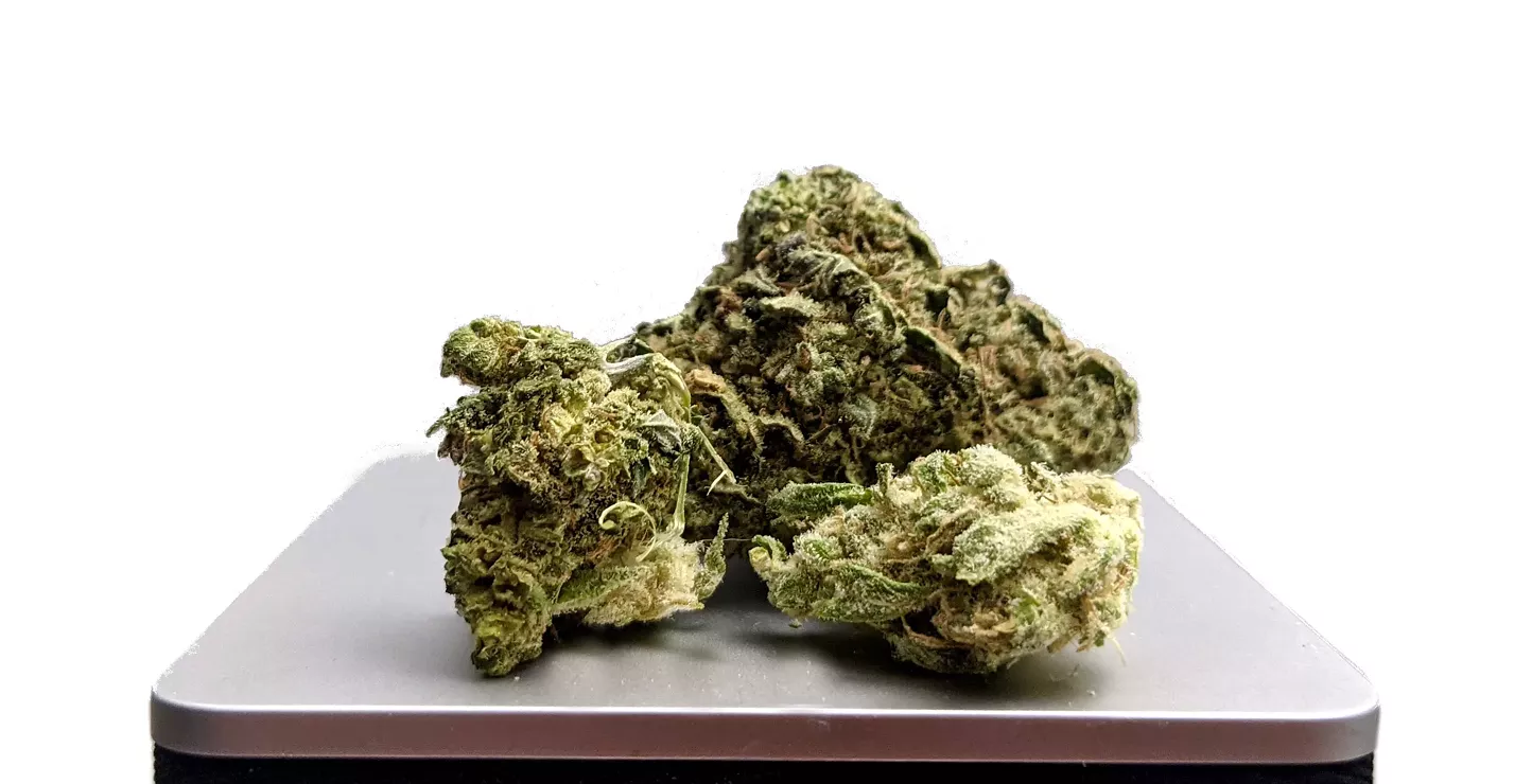 Product Review: Hybrid Flower | Product Reviews | Hudson Valley |  Chronogram Magazine