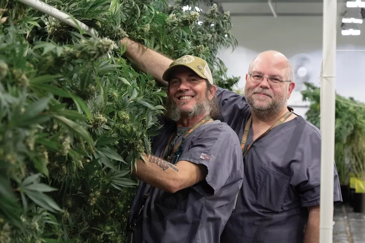 Legends at the Helm: Canna Provisions' Authentic Craft Strains - Vimarsana News