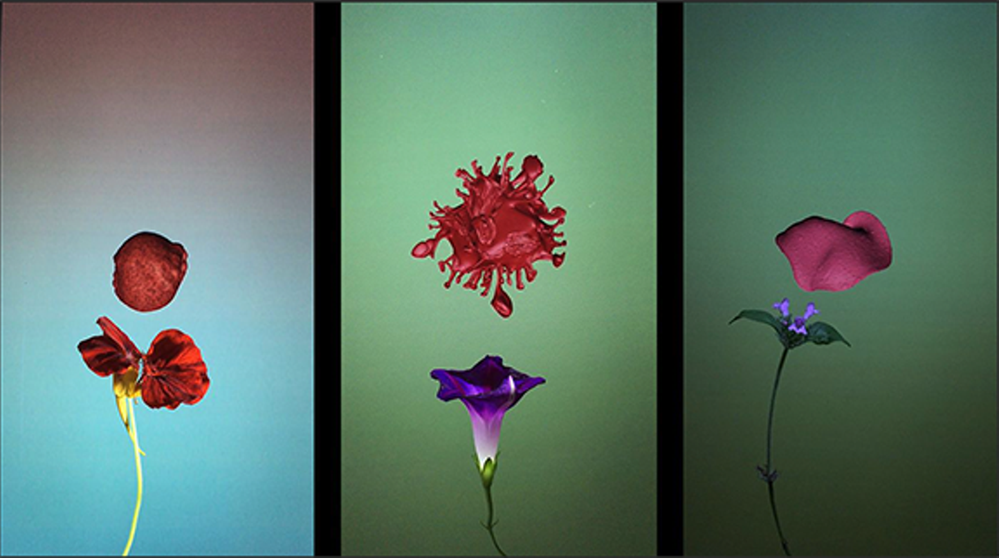 Art Review: "The Moving Picture Show" at Foreland in Catskill - Vimarsana News