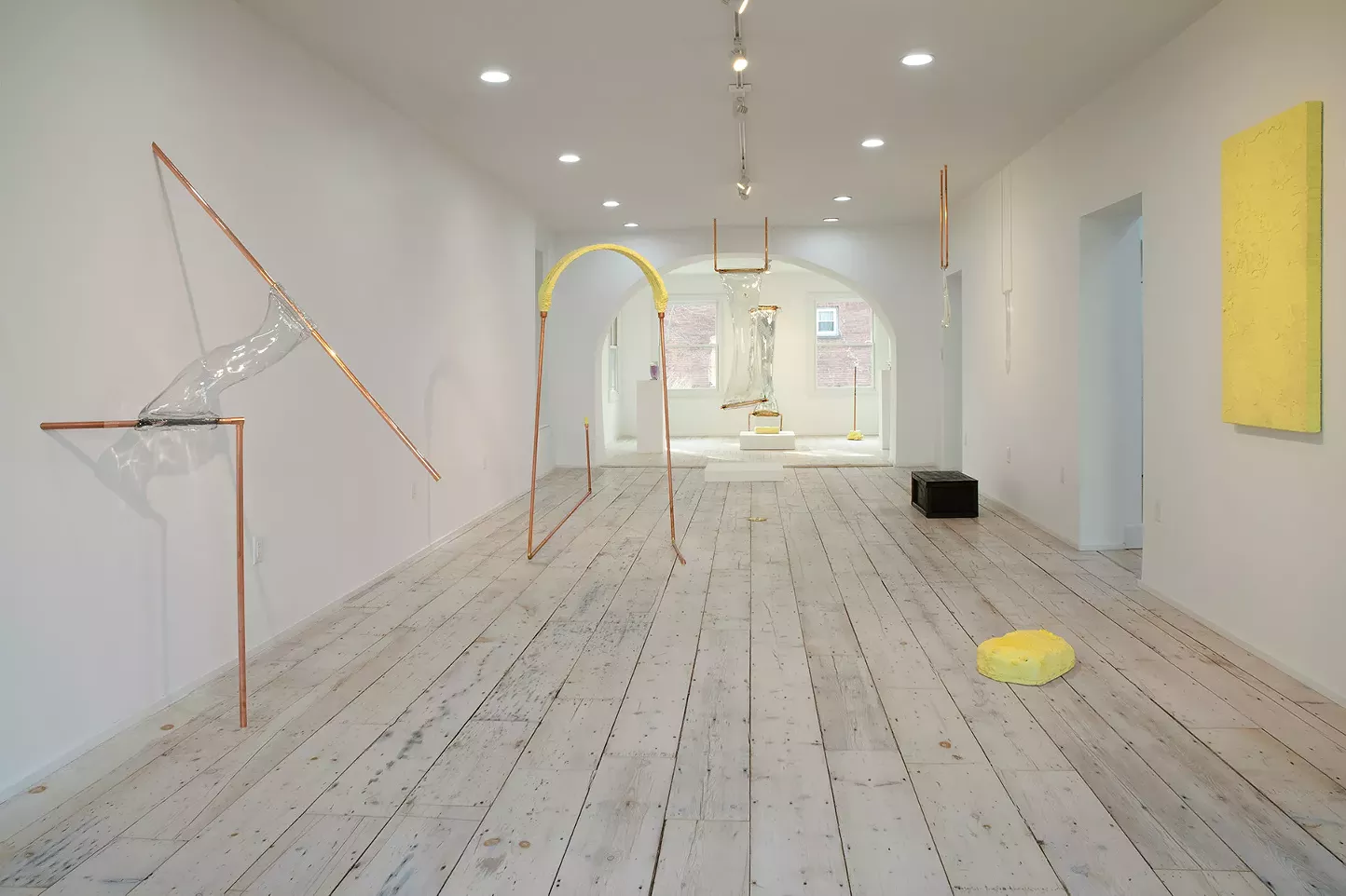 Art Review: Romina Gonzales's "The Return" at Visitor Center - Vimarsana News