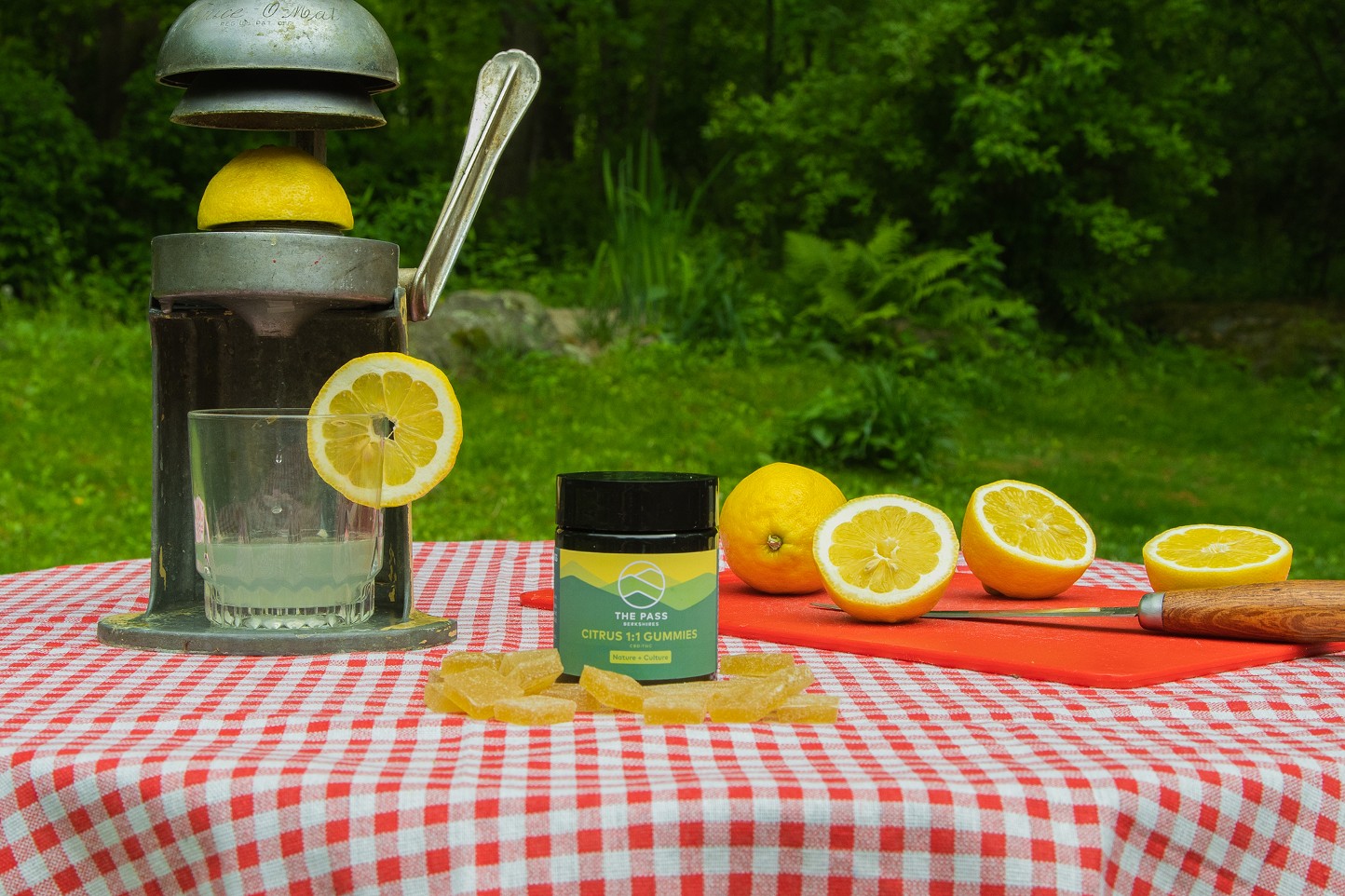 A Little Slice of Sunshine: New Citrus 1:1 Gummies from The Pass | Sponsored | Product Reviews | Hudson Valley