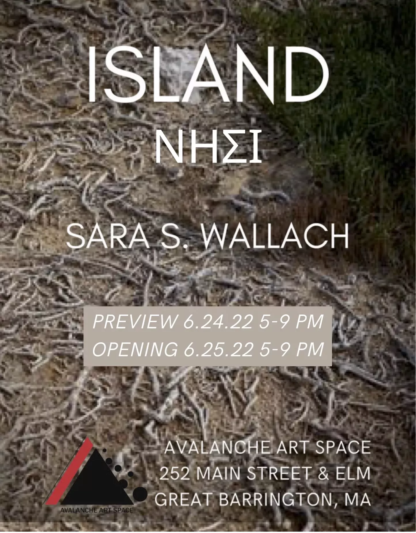 SARA S. WALLACH : ISLAND – Νησί - Vimarsana News