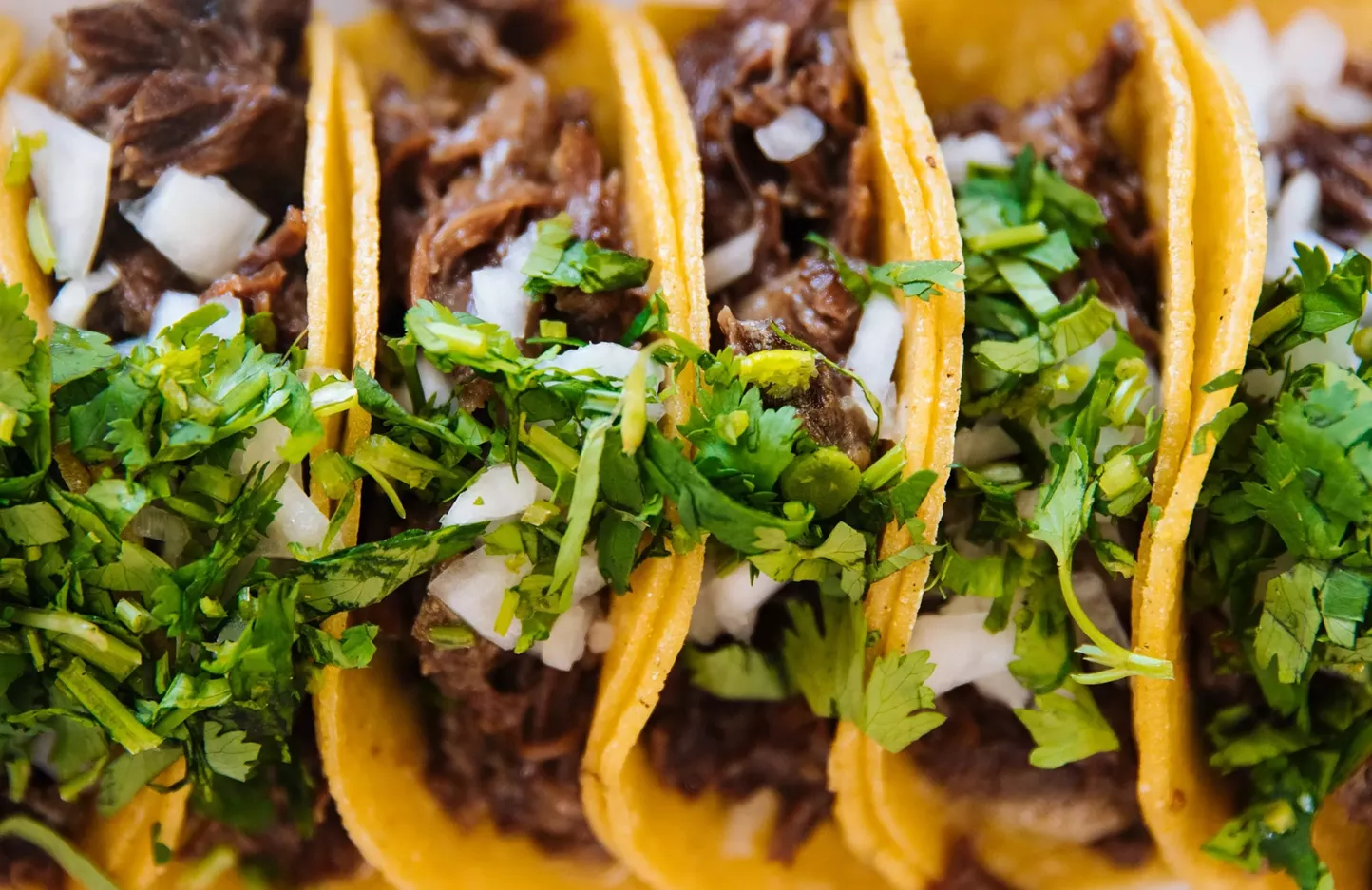 Stone Ridge's Upstate Taco Gives 209 a Burst of Flavor - Vimarsana News