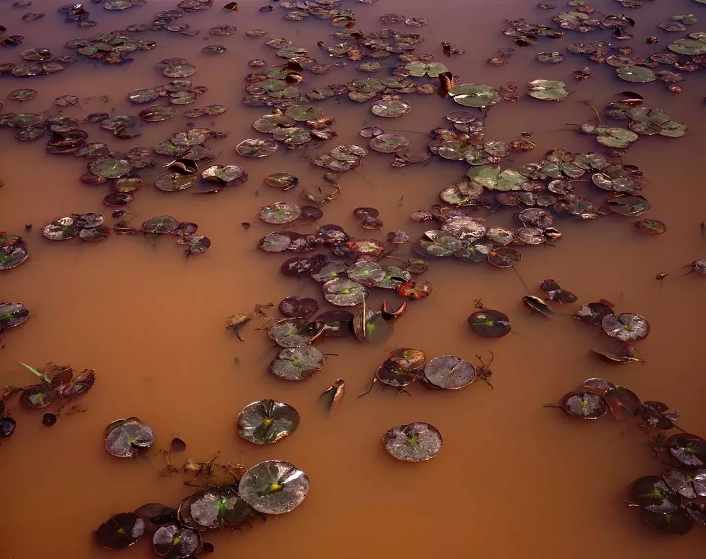 Robin Danas Watershed Series Hudson Valley Slideshows - 