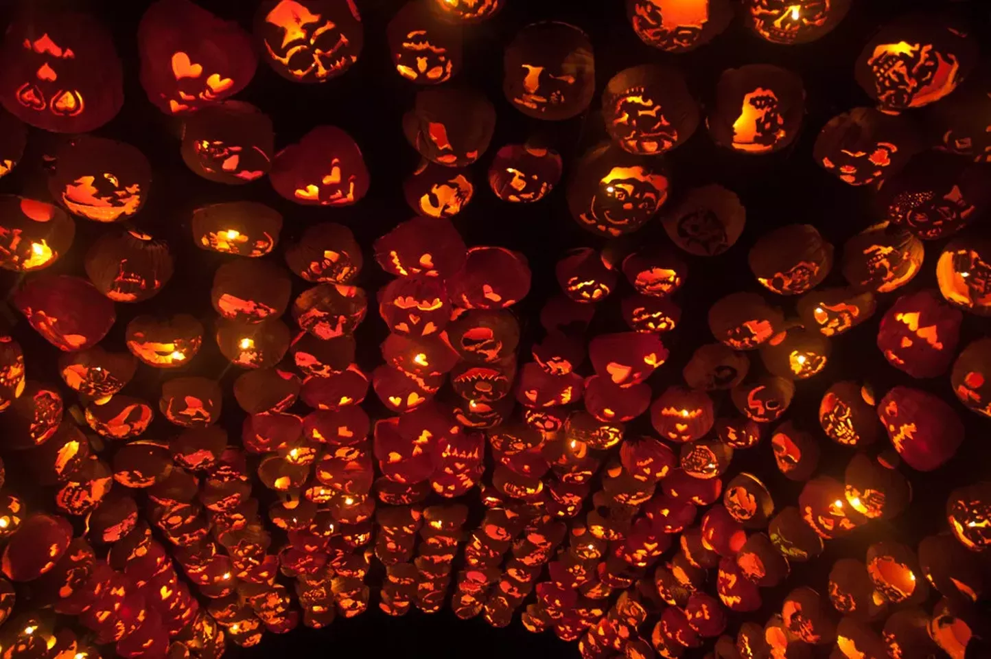 Thrills, Fun, and Fright Nights 2019 Haunted Houses and Halloween