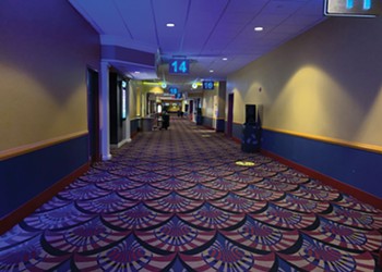 Going (Back) to the Movies: Local Cinemas Grapple with Reopening Amid a Second Wave