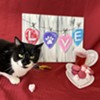 Paint Your HeART Out! @ Dutchess County SPCA