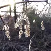 Seek Yourself with Sun-Venus, and Then What?